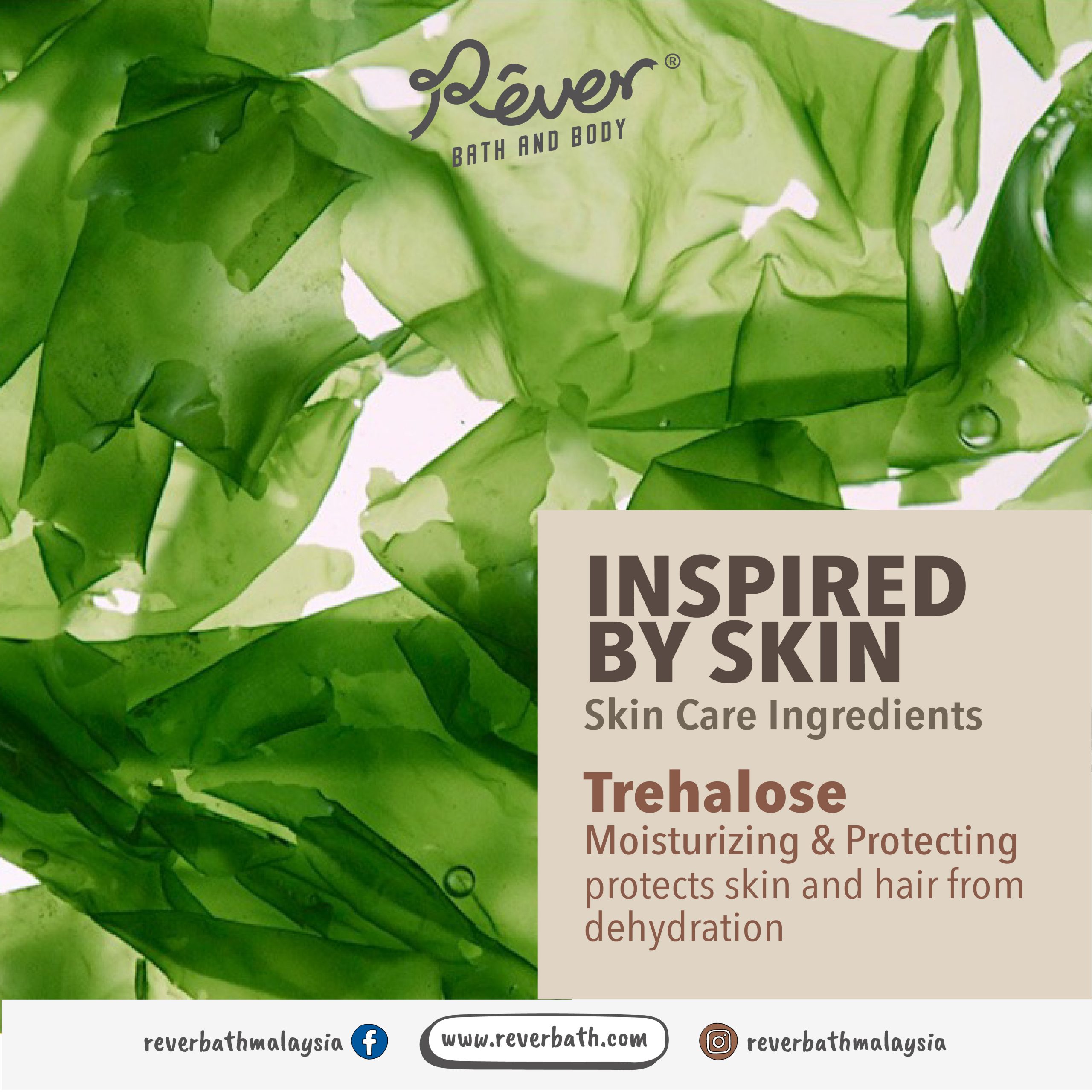 Ice Cream Scalp Scrub - Image 8